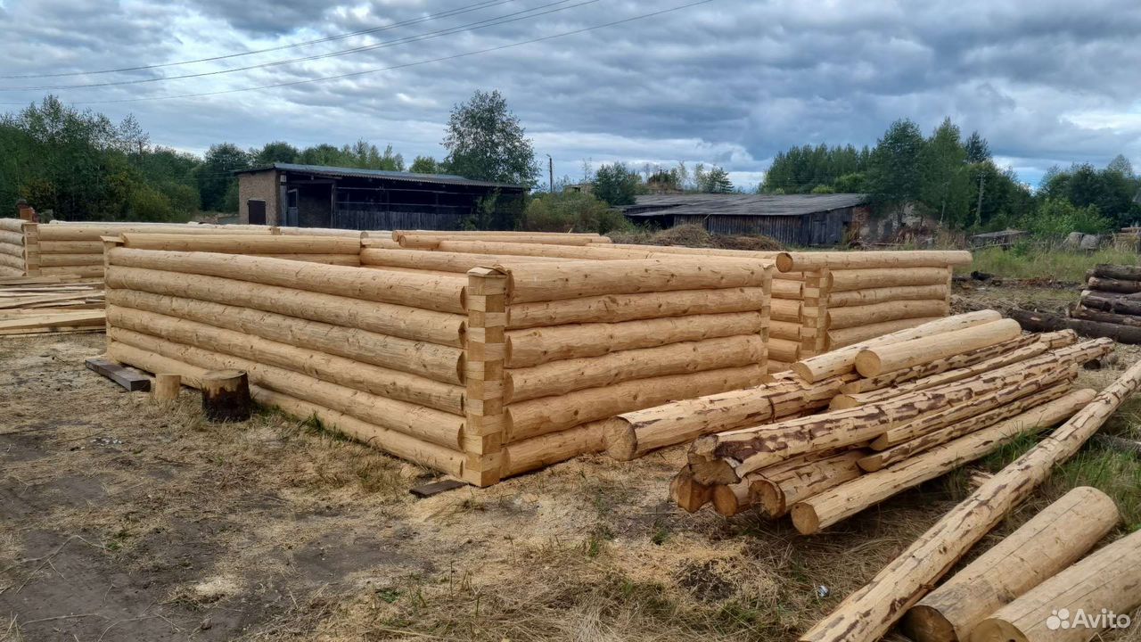 Сруб бани 6*3 из ели — фото 3